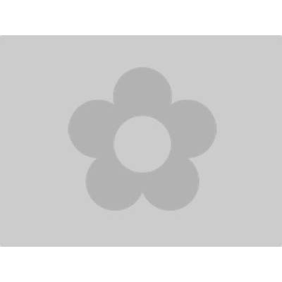 An item image placeholder