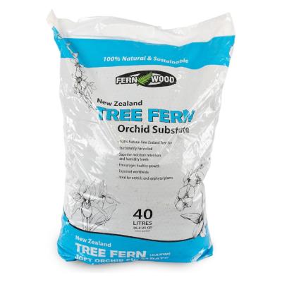 TREE FERN 40 LITER