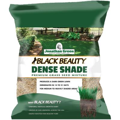 DENSE SHADE GRASS SEED 1LB